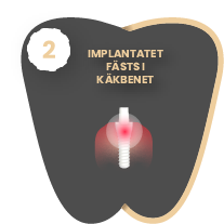 Asset 3@2x 1